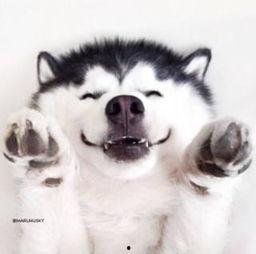 吃瓜群众最萌视频,吃瓜群众最萌视频大盘点