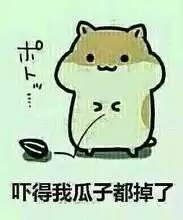 看戏吃瓜的片段视频,看戏吃瓜的片段视频揭秘