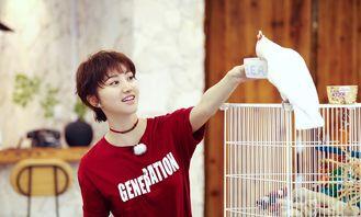 王源吃瓜陆虎叫嫂子视频,兄弟情深，互动甜蜜