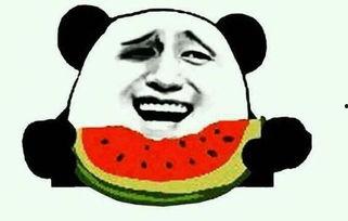 麻瓜吃瓜滴滴吃瓜视频,揭秘滴滴吃瓜视频背后的趣味与真相