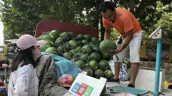 济宁情人节吃瓜视频曝光,甜蜜瞬间背后的惊人真相揭露