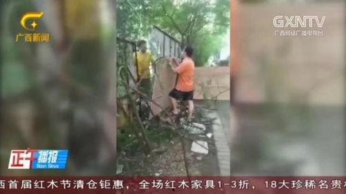 文安吃瓜事件消息视频