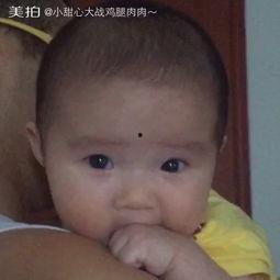 小宝宝吃鸡瓜视频大全集,鸡瓜视频大全集回顾