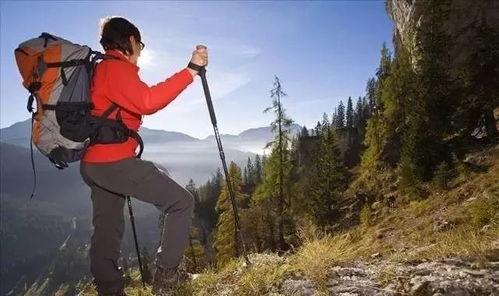 户外爬山吃瓜视频大全,爬山吃瓜视频大全盘点