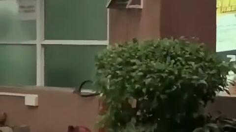 鄢陵吃瓜新闻视频曝光