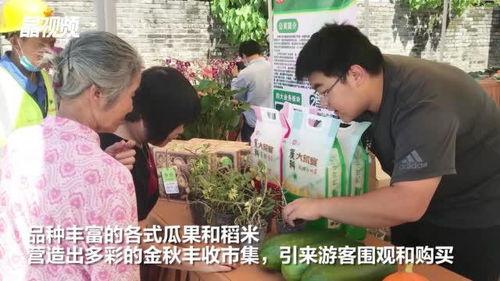 鄢陵吃瓜新闻视频曝光