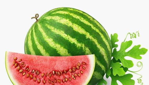 伊犁人吃瓜视频,一场视觉与味觉的双重盛宴