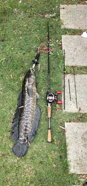 吃瓜群众在线钓鱼视频大全