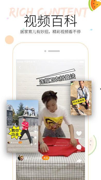 吃瓜文字视频下载软件,一键下载文字视频，轻松获取精彩内容！