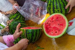 全程吃瓜现场视频,揭秘幕后真相