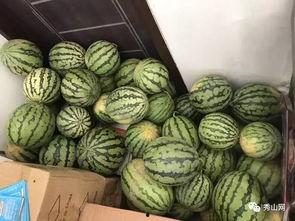 青海西宁吃瓜视频