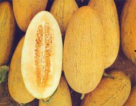 吃哈密瓜冷饮说说搞笑视频,笑料百出！