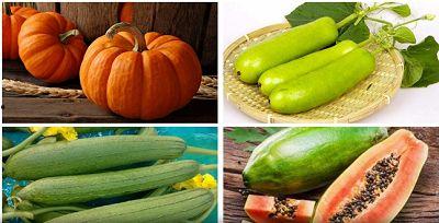 立秋吃瓜素材视频,一场别开生面的吃瓜盛宴