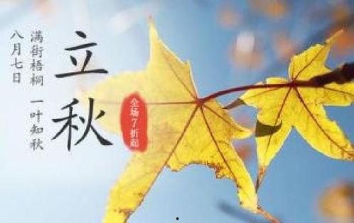 立秋吃瓜素材视频,一场别开生面的吃瓜盛宴