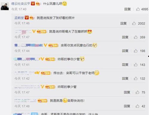 怎么评价吃瓜视频的解说,揭秘网络娱乐背后的真相与趣味