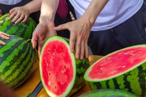 南通大学吃瓜视频最新,揭秘校园生活趣味瞬间