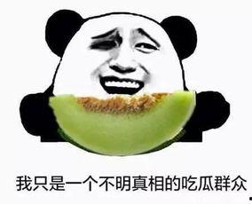 愚人节吃瓜套路视频大全,揭秘视频套路大全