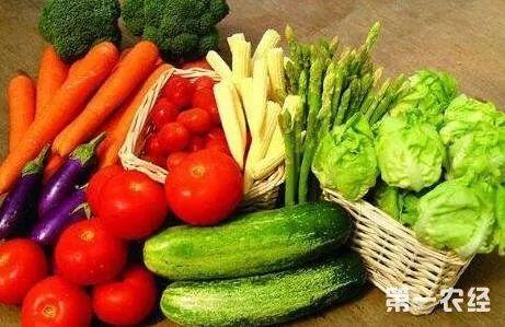 吃白瓜的小妙招视频教程,跟着视频学小妙招