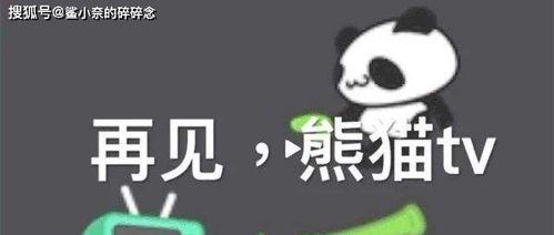 吃瓜视频三十多万点赞