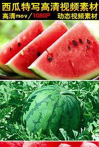 吃瓜视频大全都匀,揭秘当地特色美食与风土人情