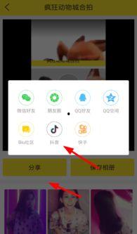 吃瓜神器怎么弄视频教程,一学就会！