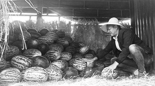 冷水滩吃瓜群众事件视频,网络围观下的社会现象解析