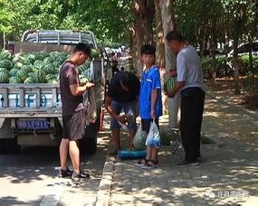 冷水滩吃瓜群众事件视频,网络围观下的社会现象解析