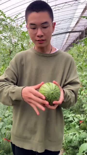 手剥皮吃瓜视频教程,轻松解锁夏日美味新姿势