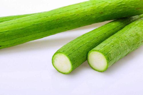 老年人吃青皮瓜好吗视频,老年人的健康佳选，食用指南揭秘