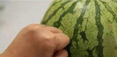 吃瓜了学习视频,揭秘娱乐圈幕后故事