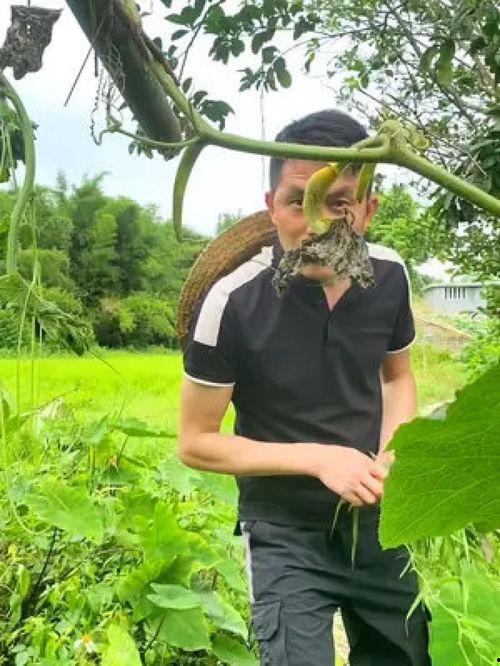 农村吃瓜大妈视频大全,笑料百出，生活趣味十足