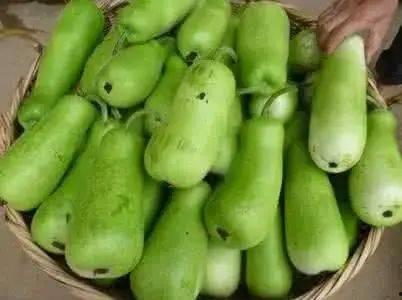 紧急吃瓜视频,紧急吃瓜！揭秘热门视频背后的惊人真相