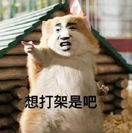 别人吵架吃瓜视频大全,盘点那些让人捧腹大笑的吵架视频