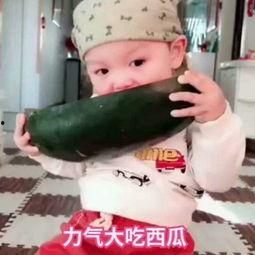 小宝宝吃瓜视频