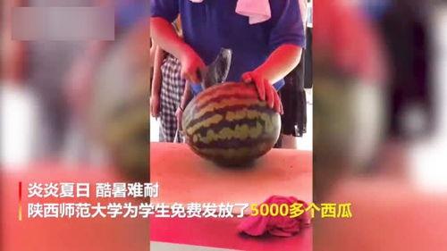 三中老师吃瓜视频下载,下载背后的真相与争议