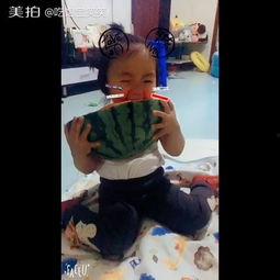 小孩吃老瓜视频大全集,小孩吃老瓜视频大全集欢乐瞬间回顾