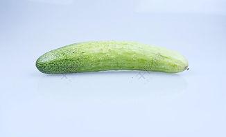 免费吃瓜地瓜视频大全下载,海量趣味内容，一键下载畅享