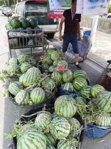 韩城东湖吃瓜事件视频播放,网络热议背后的真相揭秘