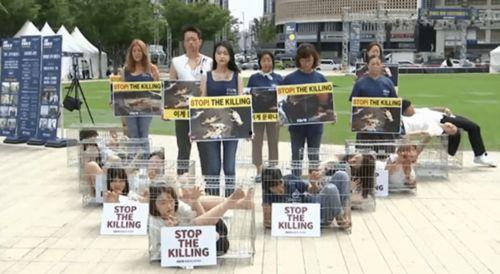 韩国民众吃瓜视频大全在线观看,趣味横生的日常生活瞬间