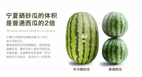 吃硒砂瓜可以养生吗视频,吃出健康好生活