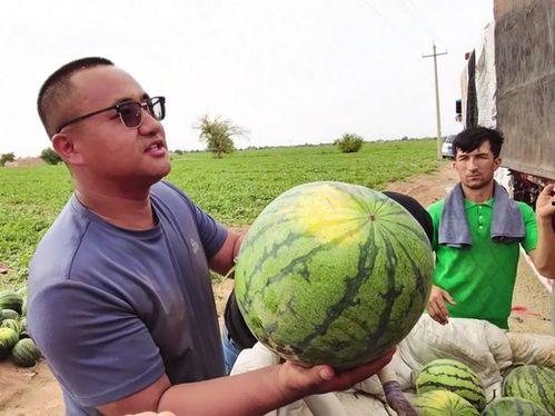 雾霾吃瓜的视频,揭秘雾霾视频背后的真相