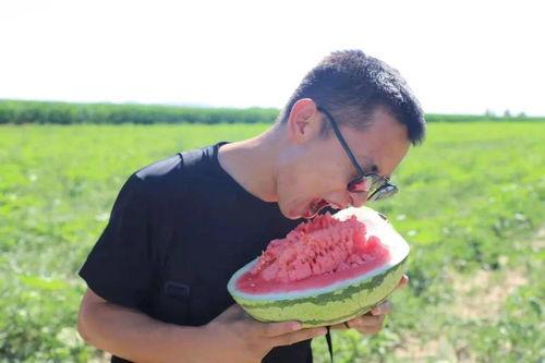 召唤吃瓜群众视频,揭秘热门视频背后的故事