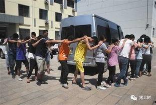 天津静海区吃瓜事件视频,一场网络热议的真相追踪