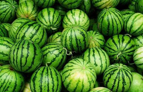 吃瓜的四个视频是什么,揭秘“吃瓜群众”四大热门视频背后的故事