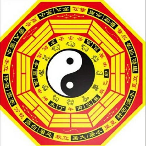 劲爆吃瓜八卦图视频图片