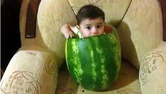 认真吃瓜搞笑音乐视频大全,笑料横生！盘点那些让人捧腹大笑的吃瓜搞笑音乐视频