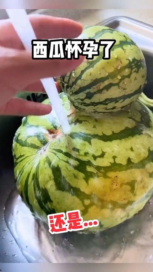 吃瓜搞笑声音视频,搞笑声音视频带你欢乐一夏