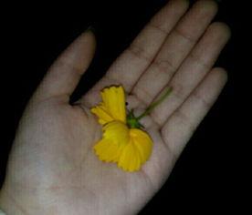 吃瓜场面视频素材,吃瓜群众狂欢，一场视觉盛宴